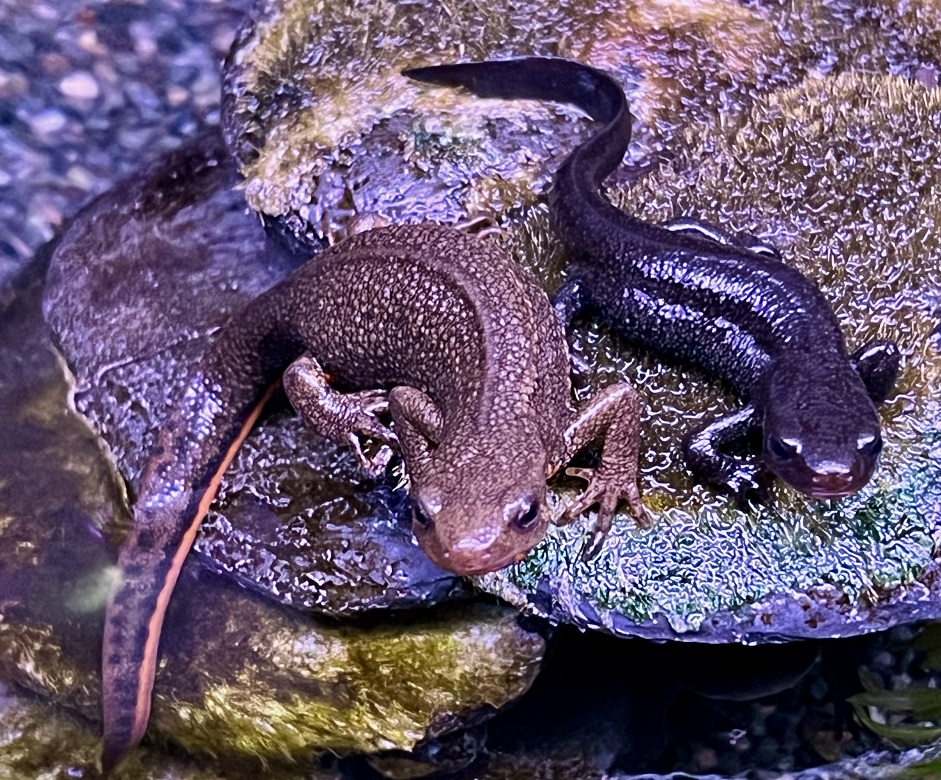 記事サムネイル